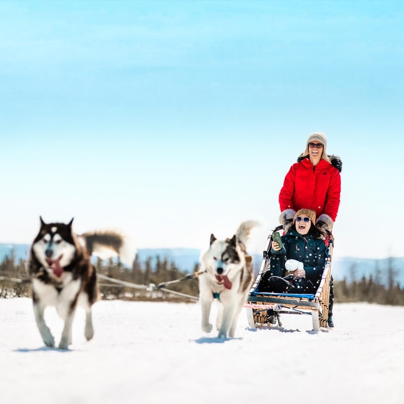 Northern Lights Dog Sledding Packages