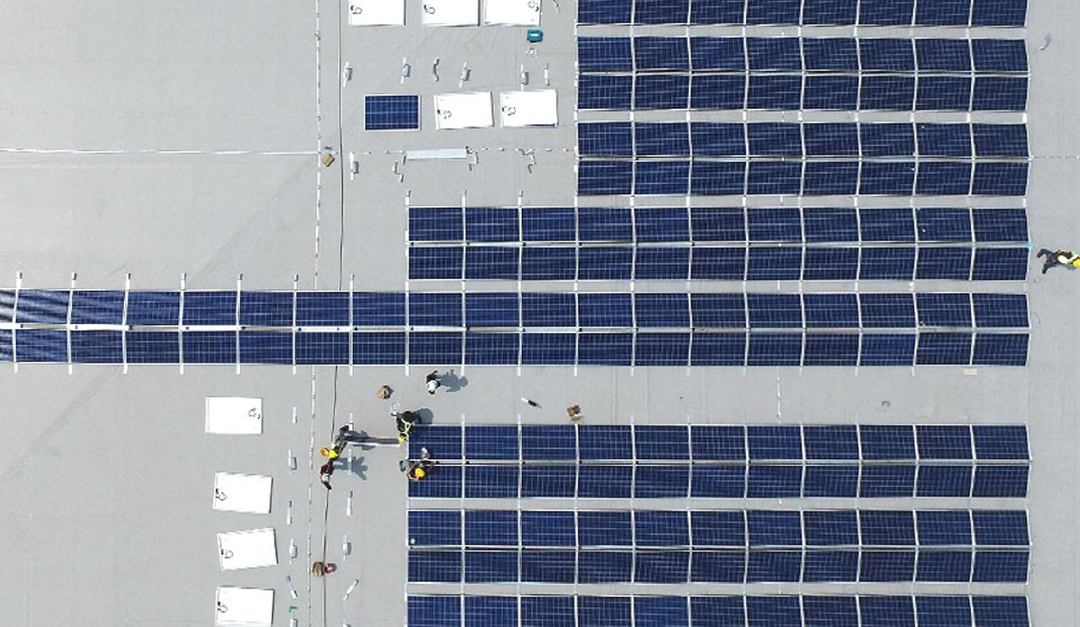 Roofing Requirements for Solar Panel Installation Everything You Need