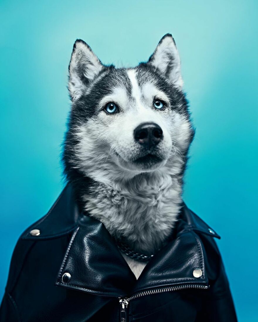 Zorro
