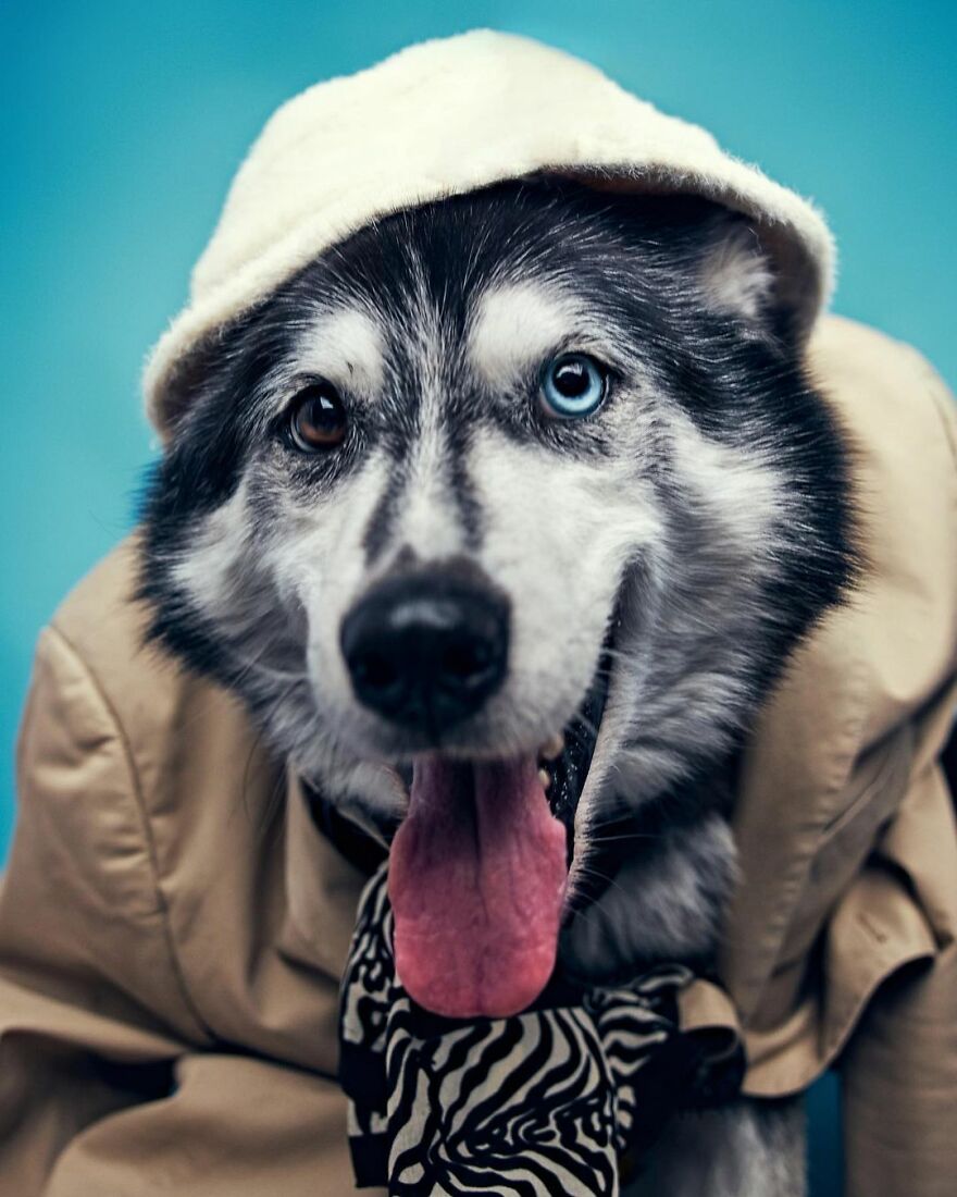Shasta