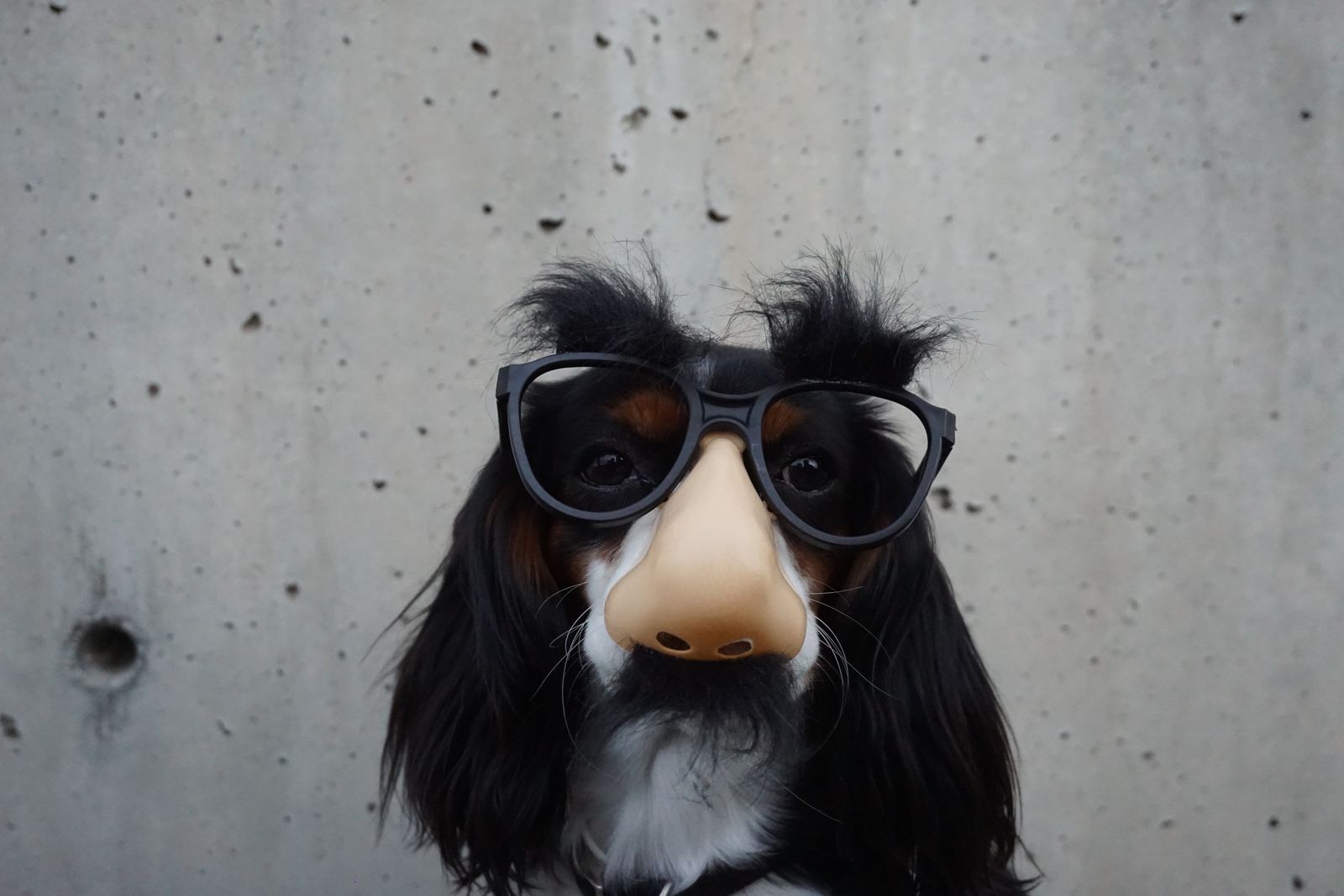 What Is A Roth Deferral And Why Should You Care NoFilter Blog