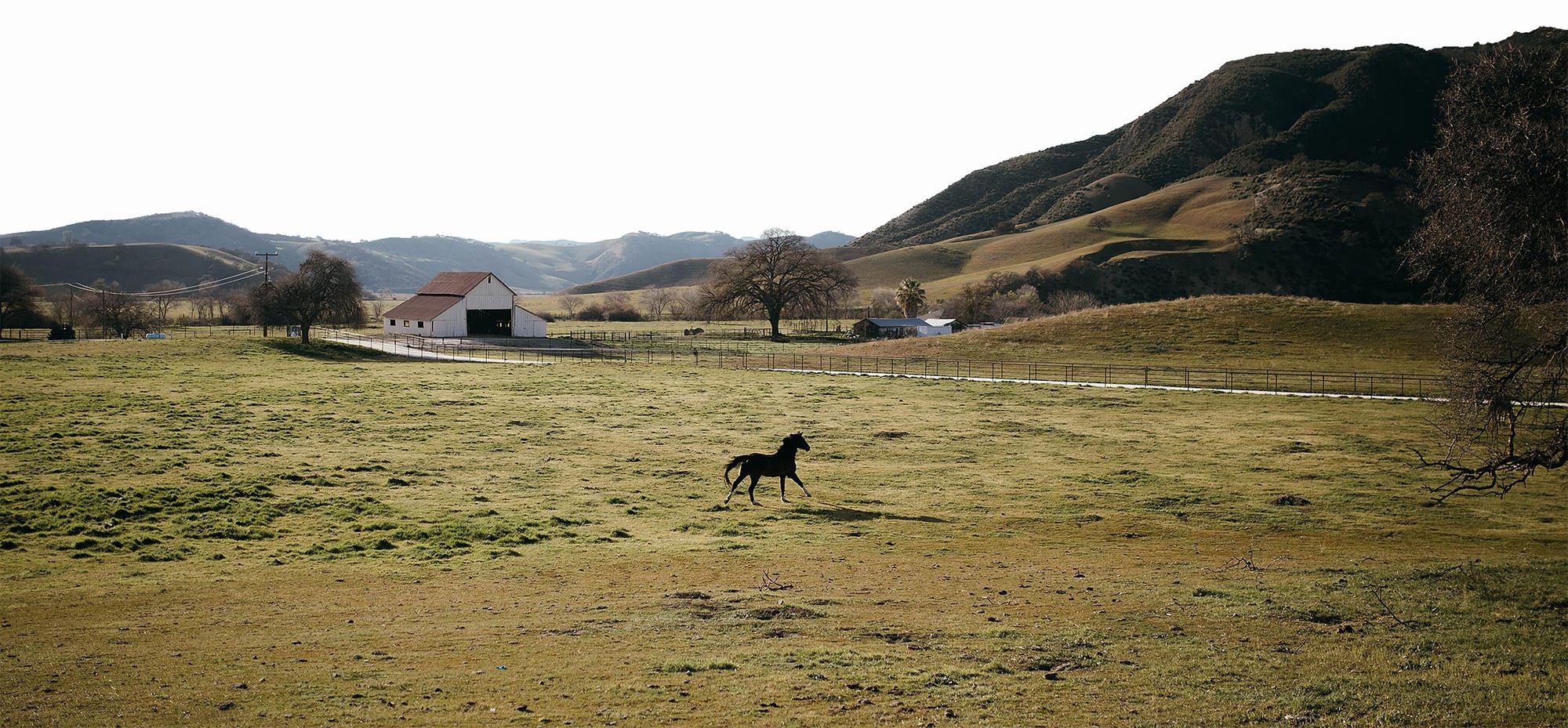 Horse Boarding in California | Bar SZ Ranch