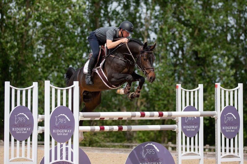 Ridgeway Farm Stud