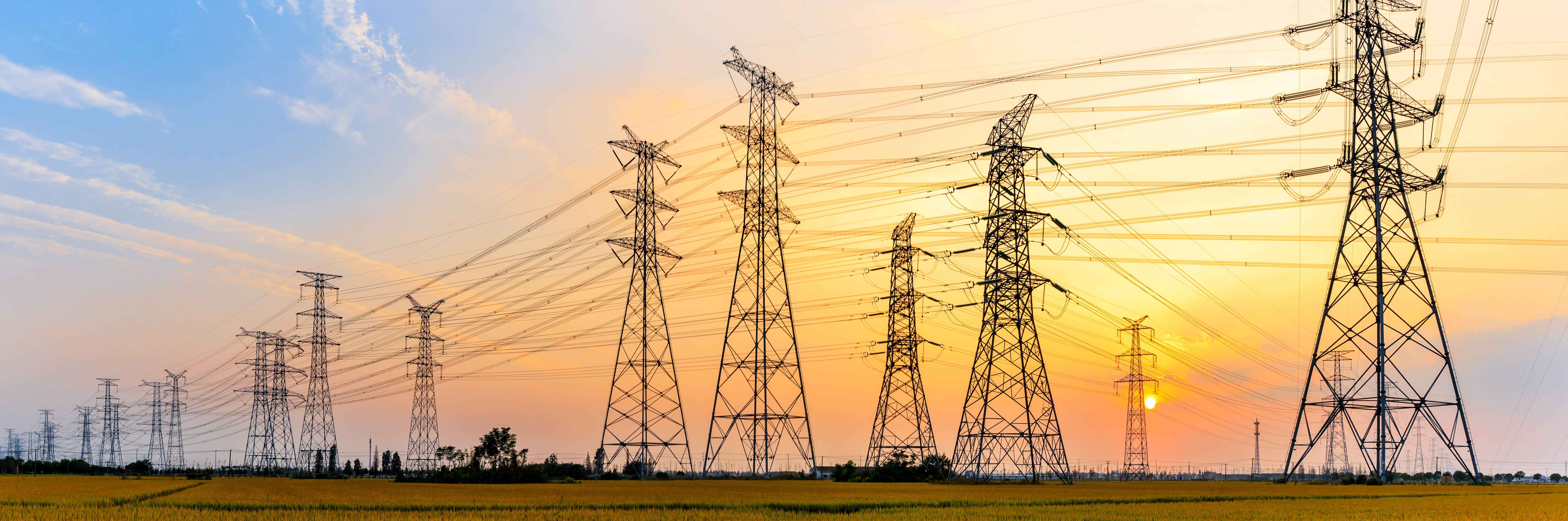 Transmission & Distribution and Vegetation Management Joint Conference