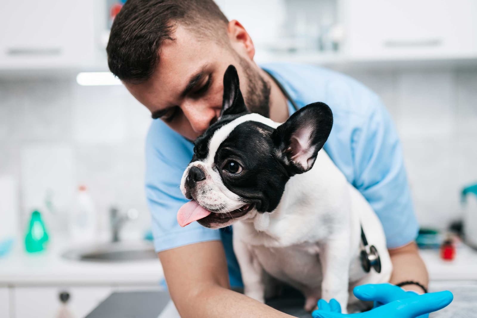 Canine Mast Cell Tumor Research