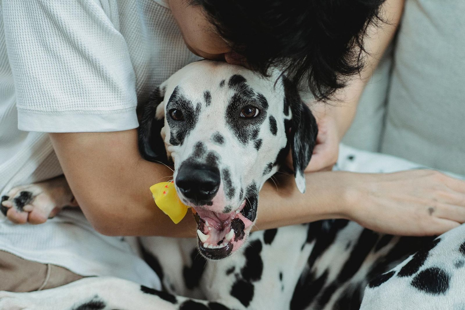 Treating Lymphoma With Steroids How To Know What To Expect ImpriMed