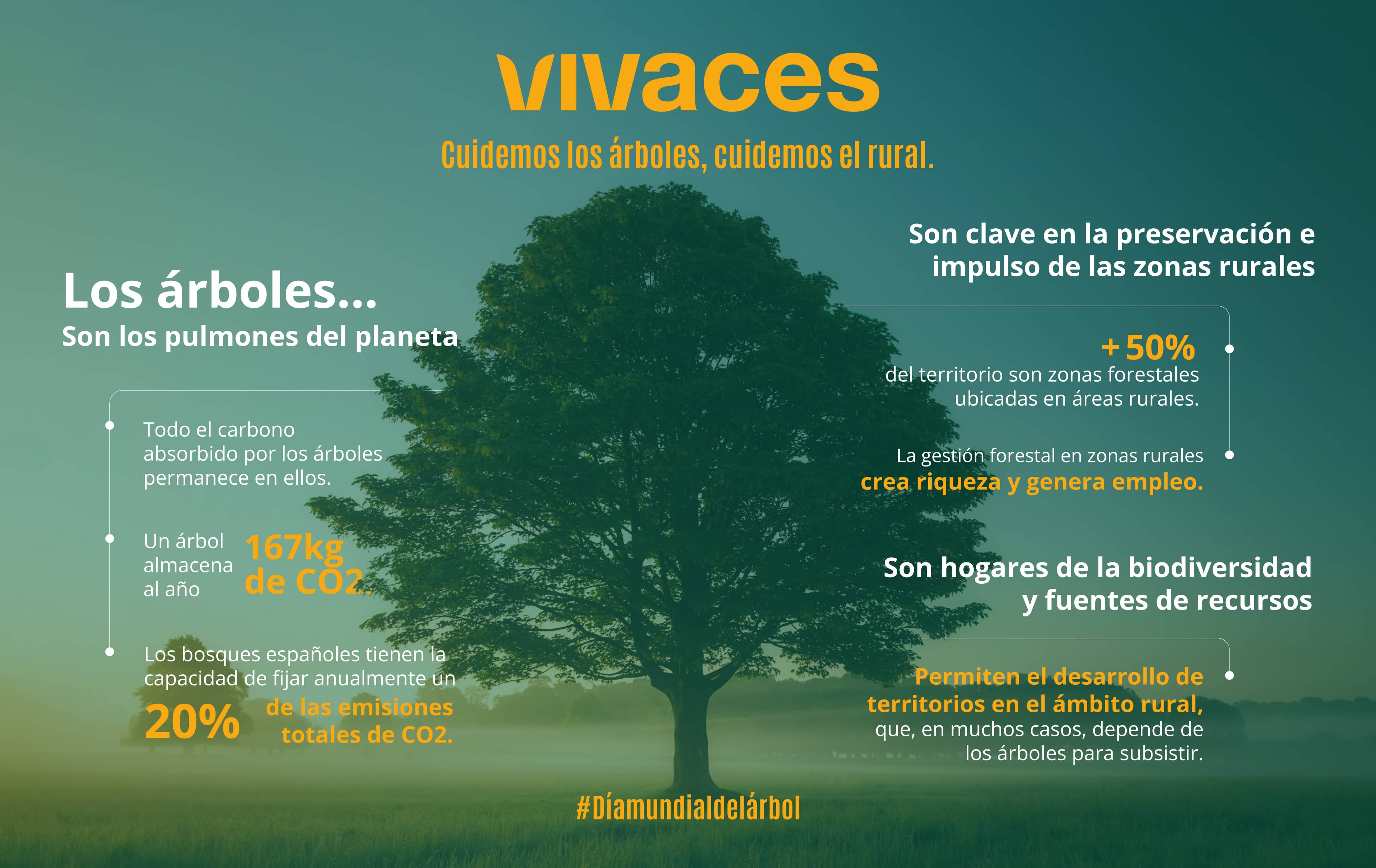 Cuidar los bosques: prioridad para la sostenibilidad del rural