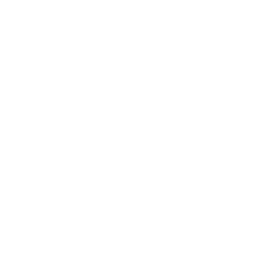 Woman high-fiving a dog