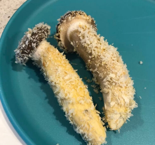 ぶなクイーンはフリットでもめちゃくちゃ旨いッ!揚げ物好きにはたまらない!