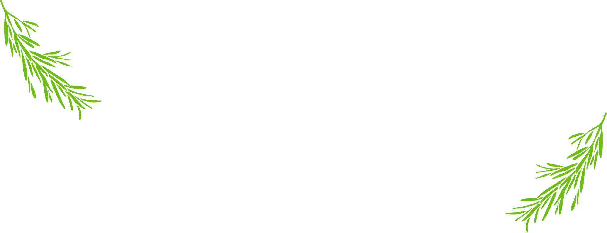 Meat Suppliers Polokwane Feedlot & Abattoir