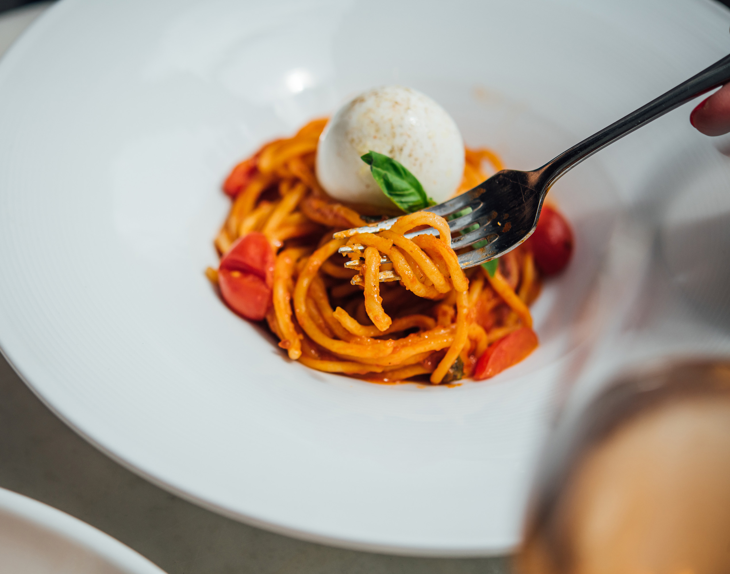 Trattoria dal Plin