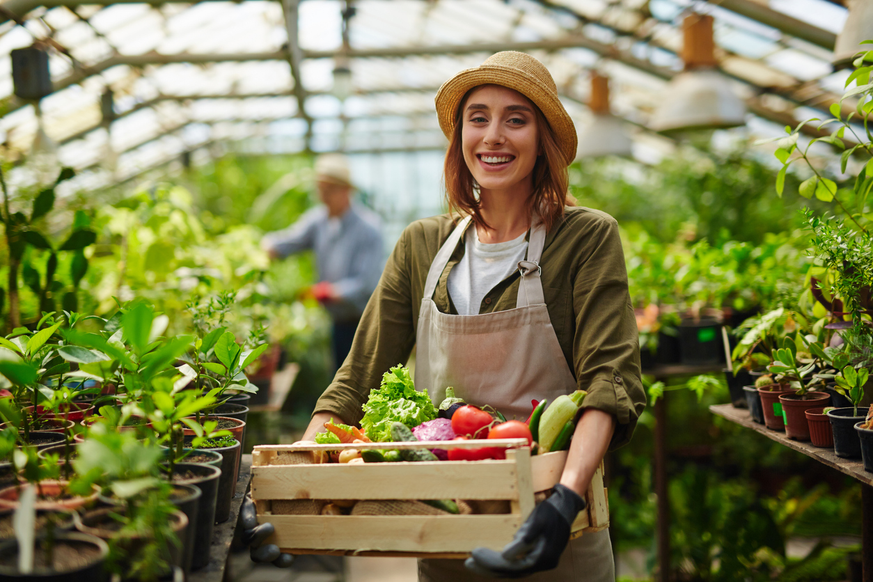 Producteurs locaux