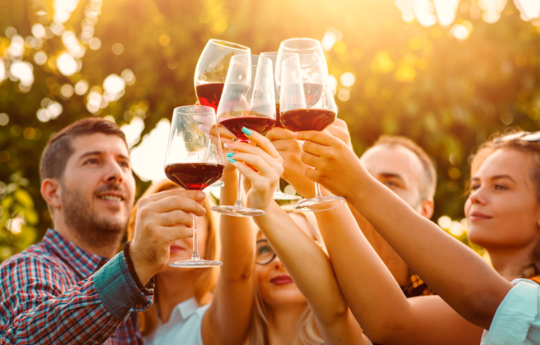 Bus Tour Trips to the Best Wineries Near Chicago