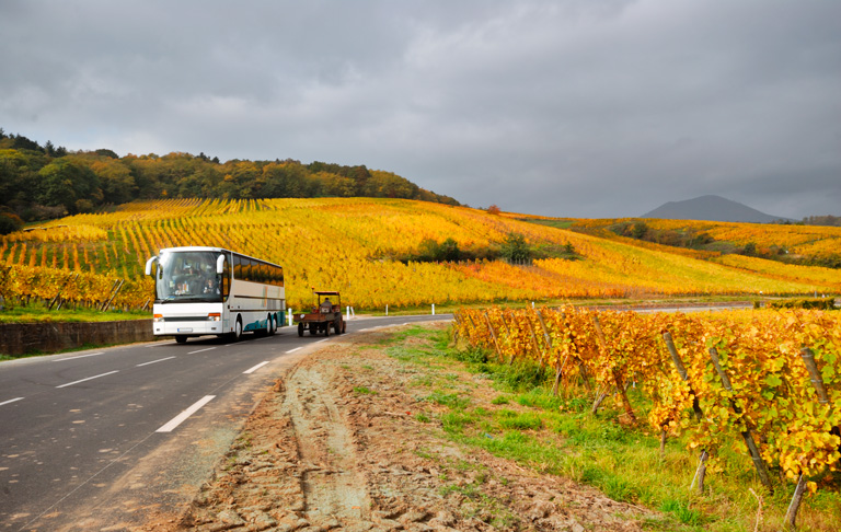 Planning Your Wine Tour