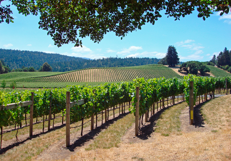 Northwest Indiana Wine Trail Tours