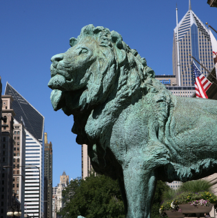 The Art Institute of Chicago