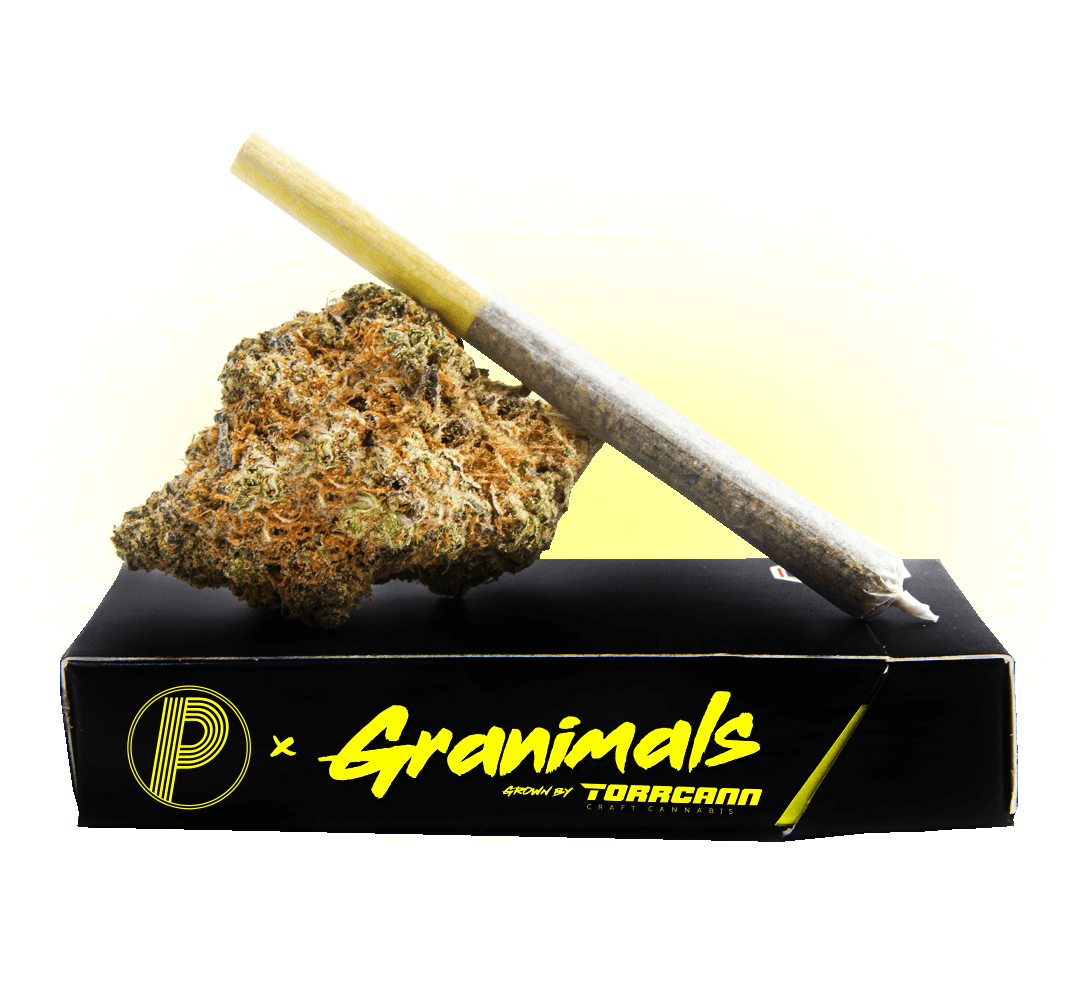 GRANIMALS grown by TorrCann PINNRZ™