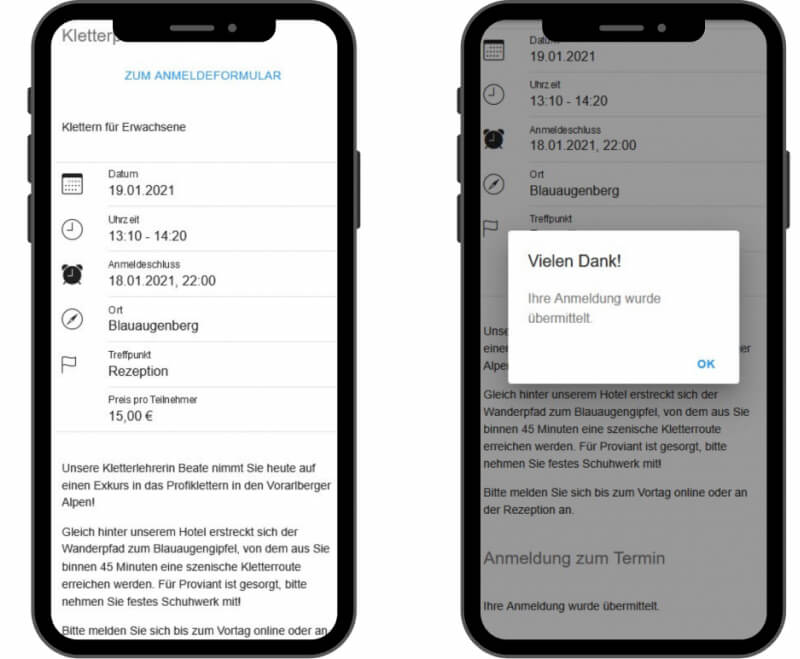 Mister Software Oberfläche auf dem Smartphone