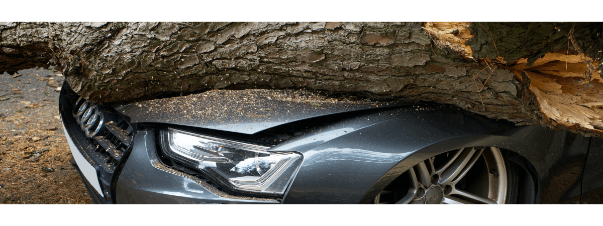 Vehicle damage assessment