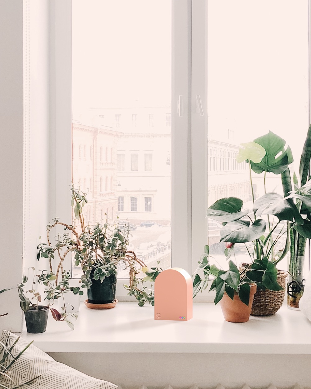 Claire on a shelf with plants