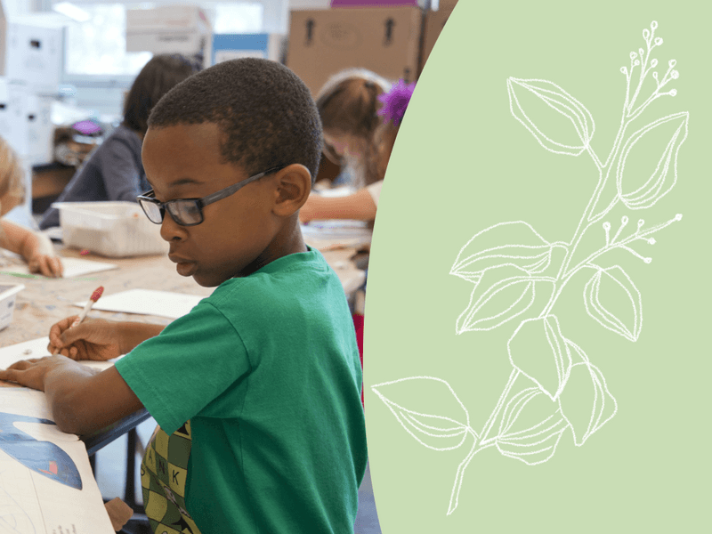 Functional Behavioral Assessment in ABA Therapy | Autism Resources