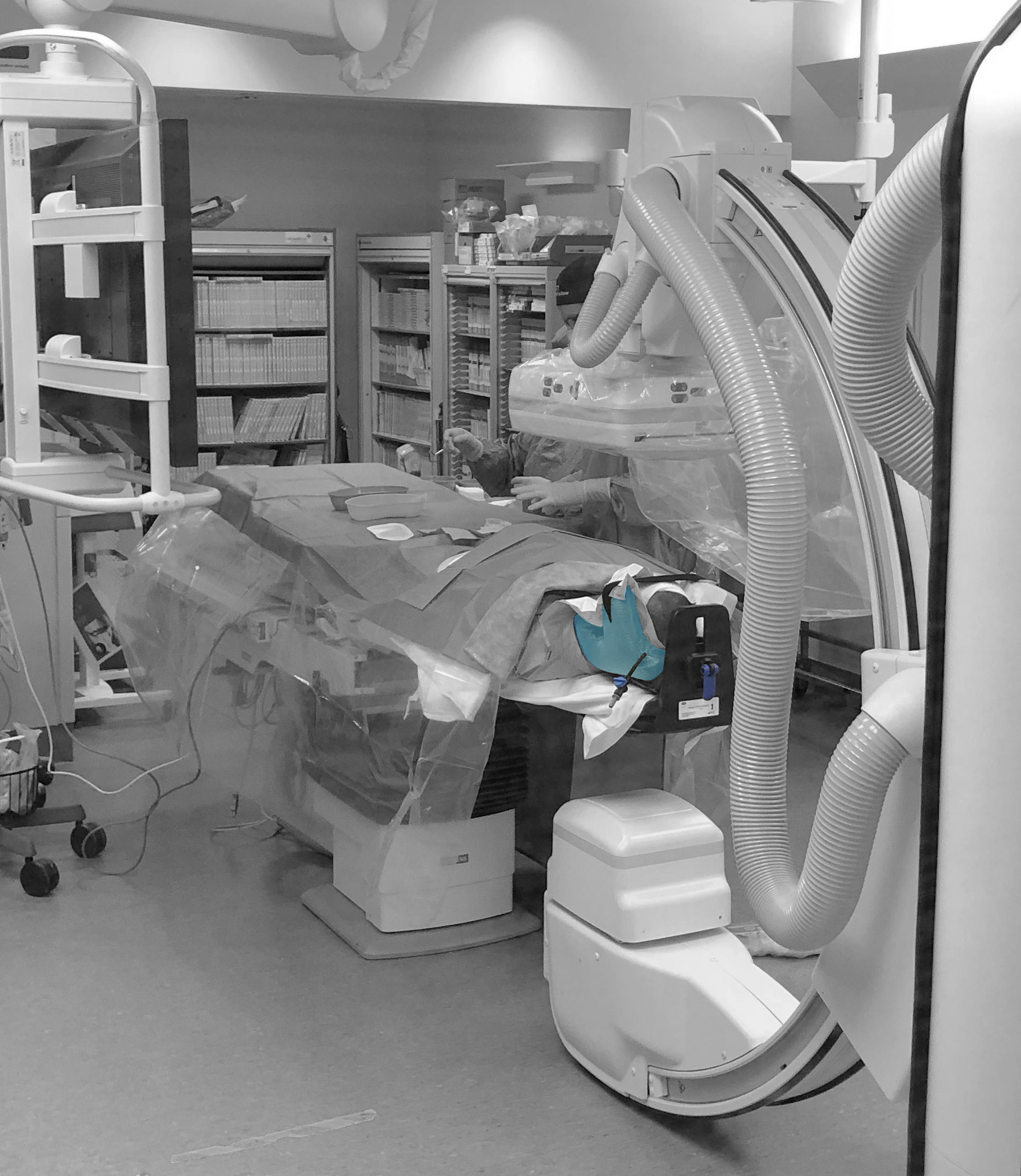 Head Immobiliser Adept Medical