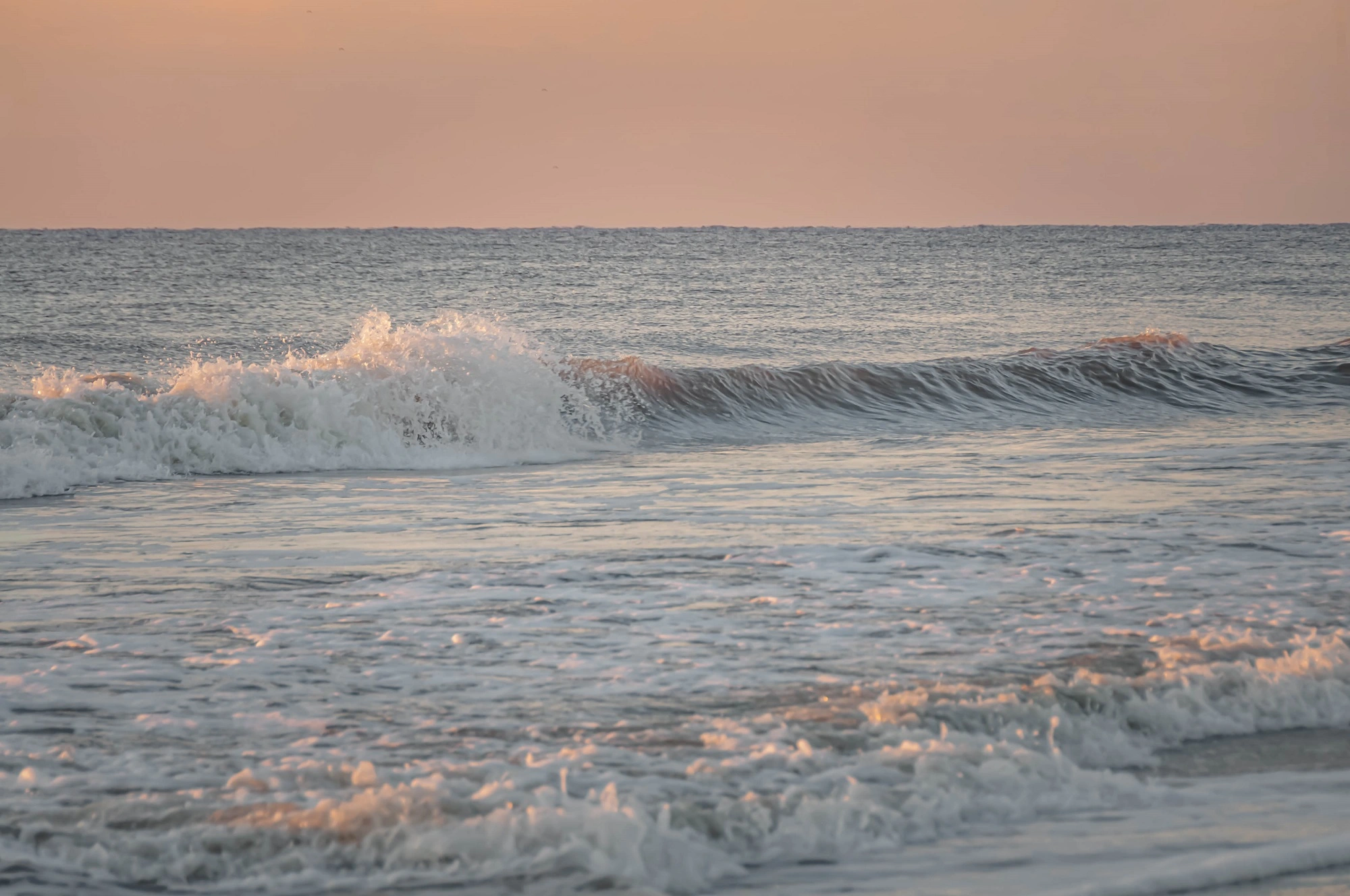 Golden Isles: wave crashing o the shore with a pale pink sky overhead