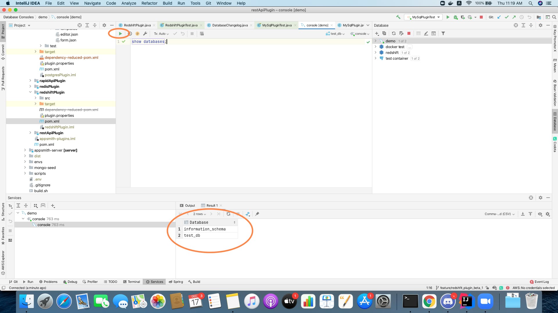 Running the query