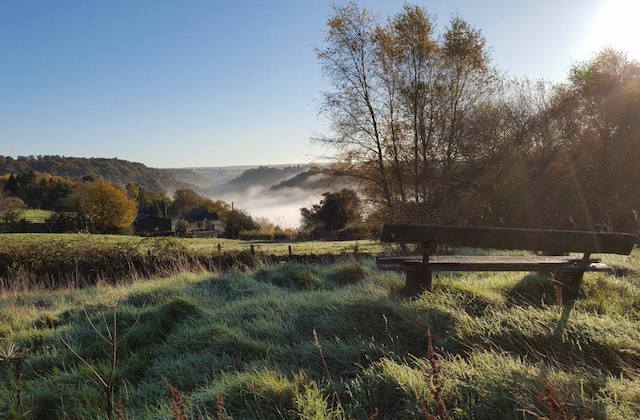 Misty view over the trees and hills of the Churnet Valley