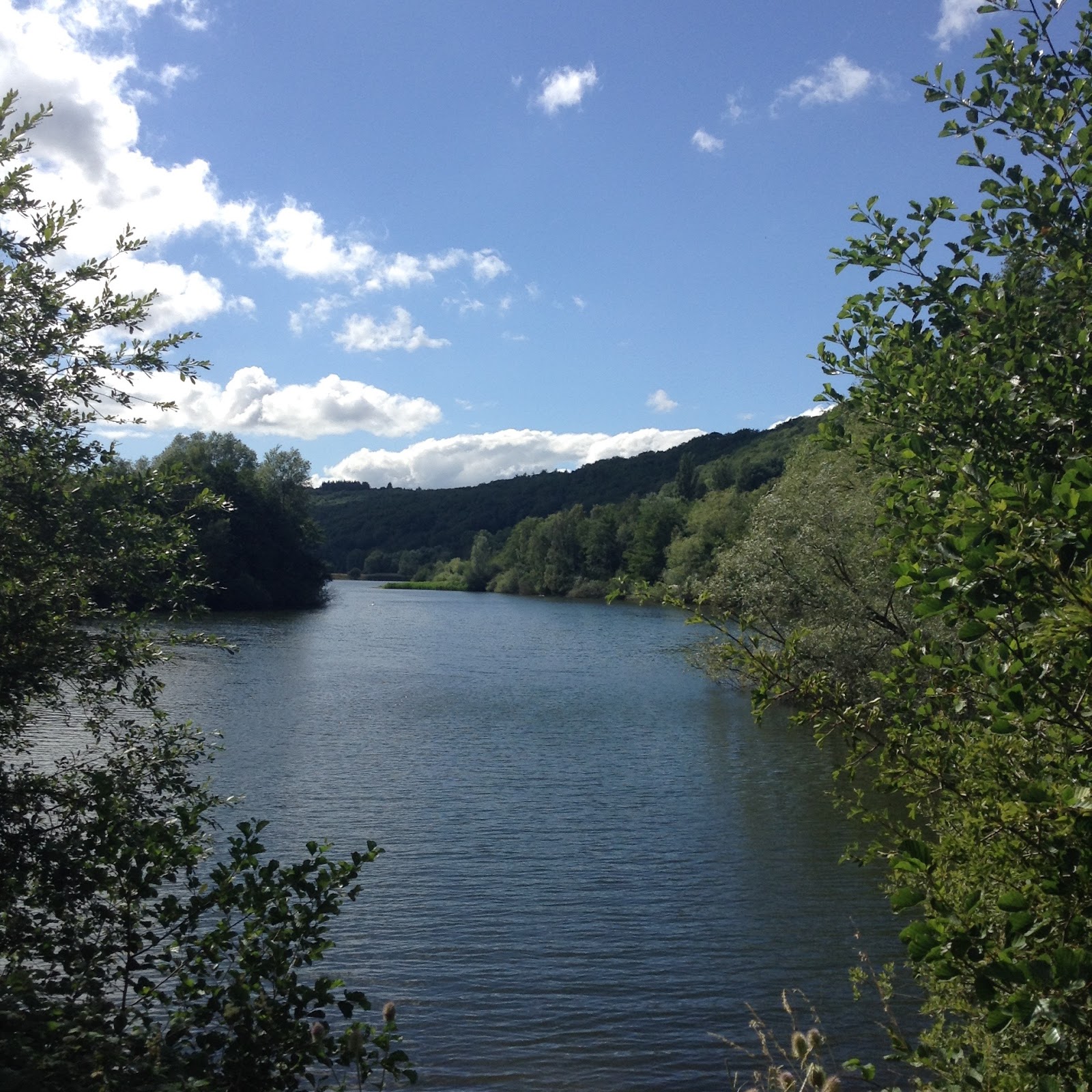 A view of the serene Bodenham Lake on a clear blue day: with a forest rising up from the lakeside in the distance.