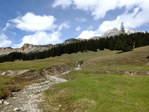 The Natural Park - a high altitude grazing pasture