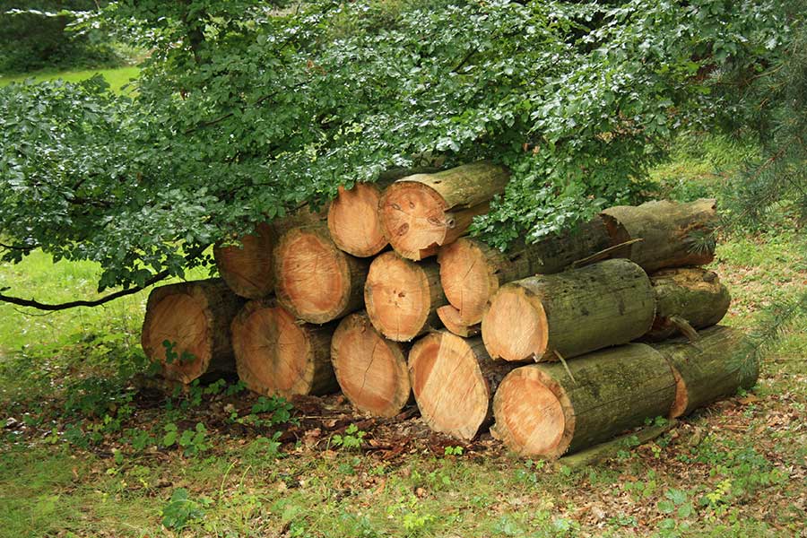 Are you a woodland based social enterprise?