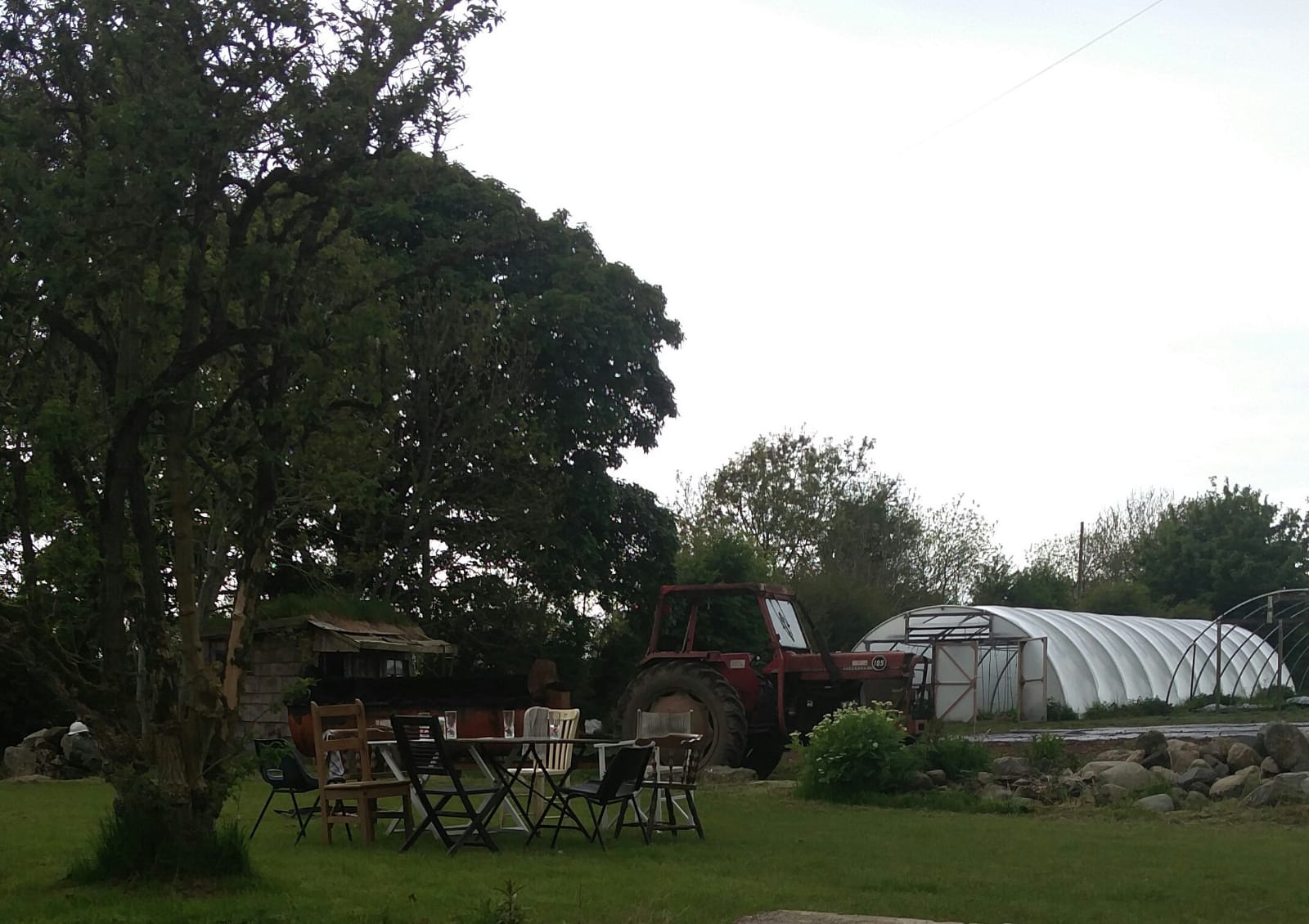 green space on a farm with some trees, seating area and tractor and polytunnel in the background
