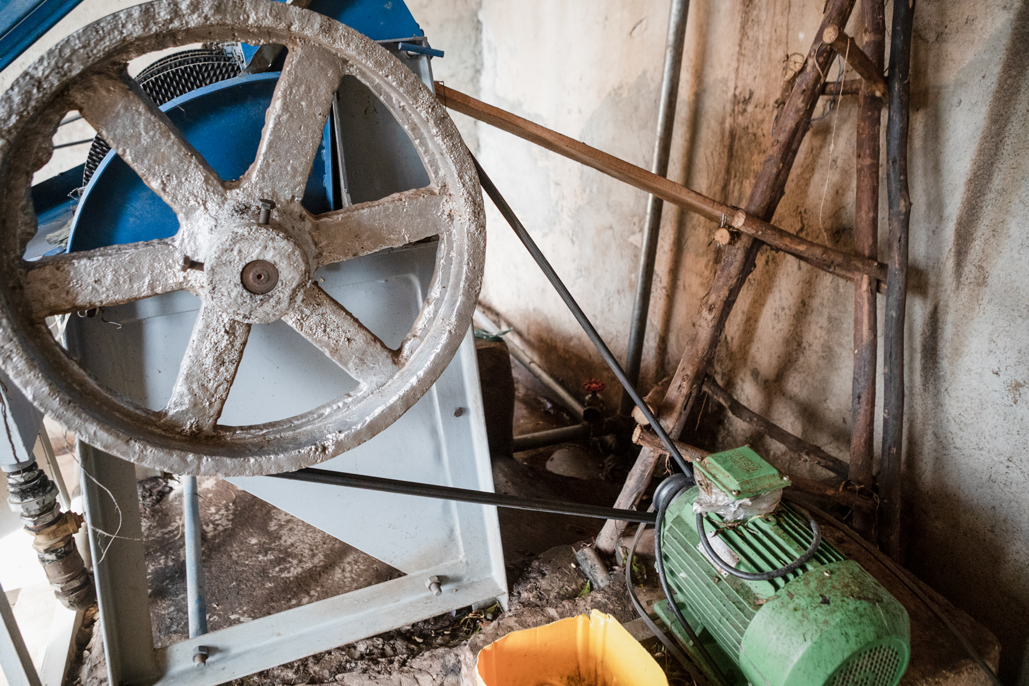 What is it about Guji? Tropiq