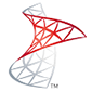 Windows SQL Server Logo