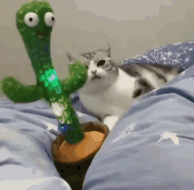 Dancing Cactus GIFs | Tenor