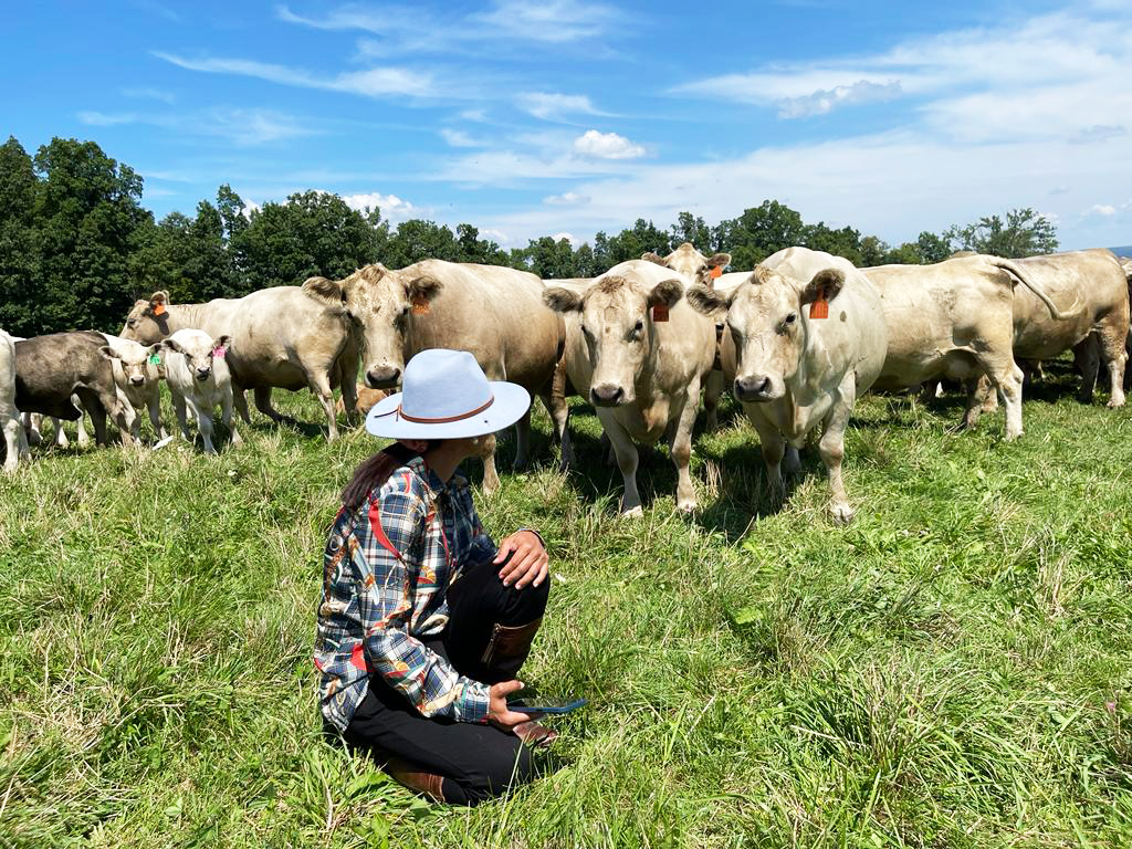 about-teodoro-s-boucherie-gourmande-artisan-meats