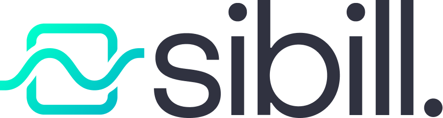 Sibill - Controllo dei flussi di cassa