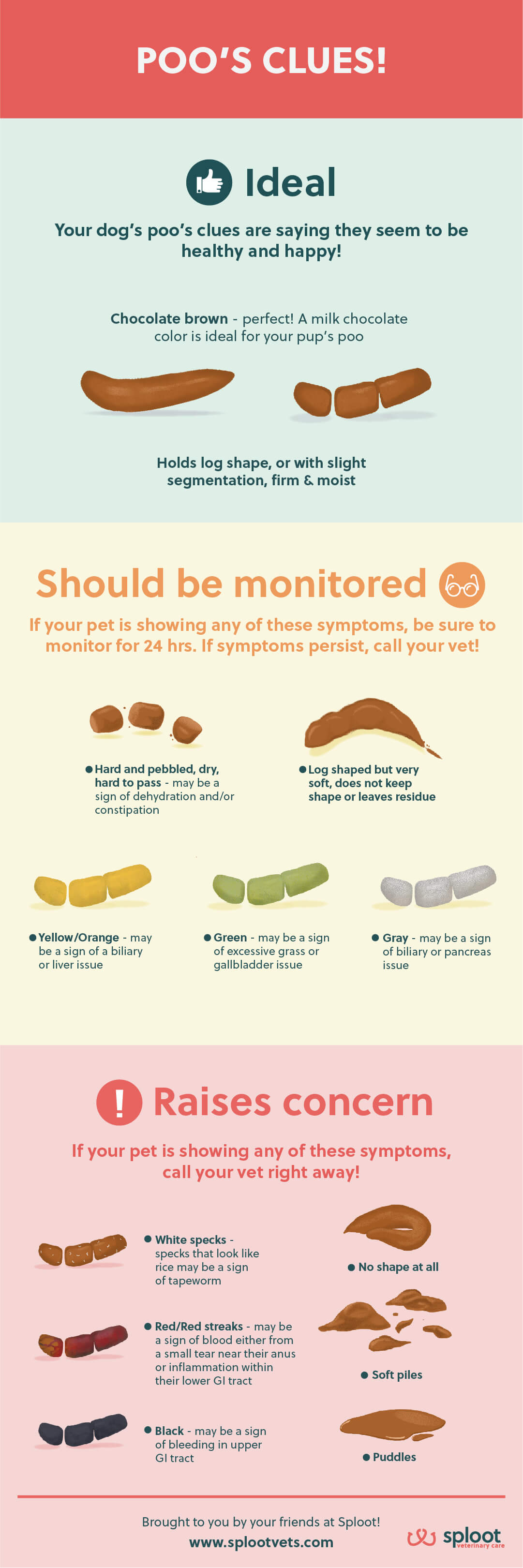 A Guide To Understanding Your Dog s Poo Infographic 