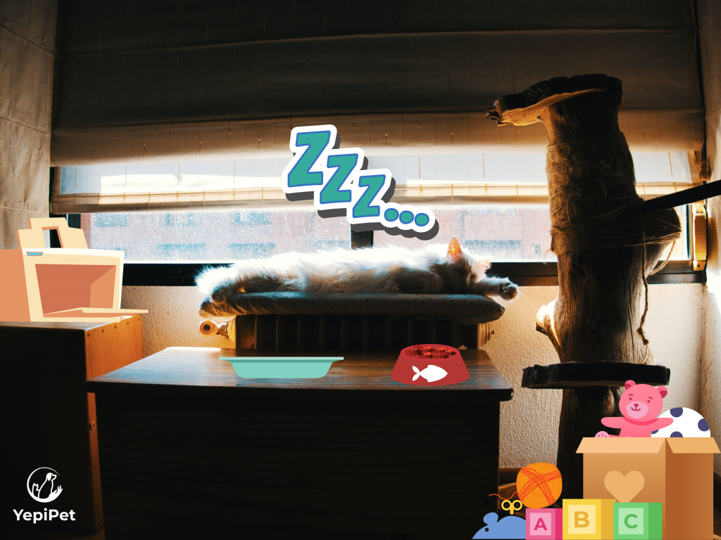 5 Tips to Make Your New Cat Feel at Ease at Home YepiPet Your Key to Smart Pet Care