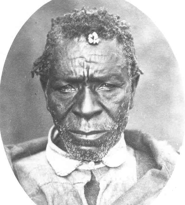 The Damara and the Genocide