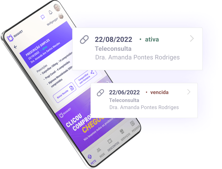 Imagem de um celular com o aplicativo informando as teleconsultas ativas e vencidas