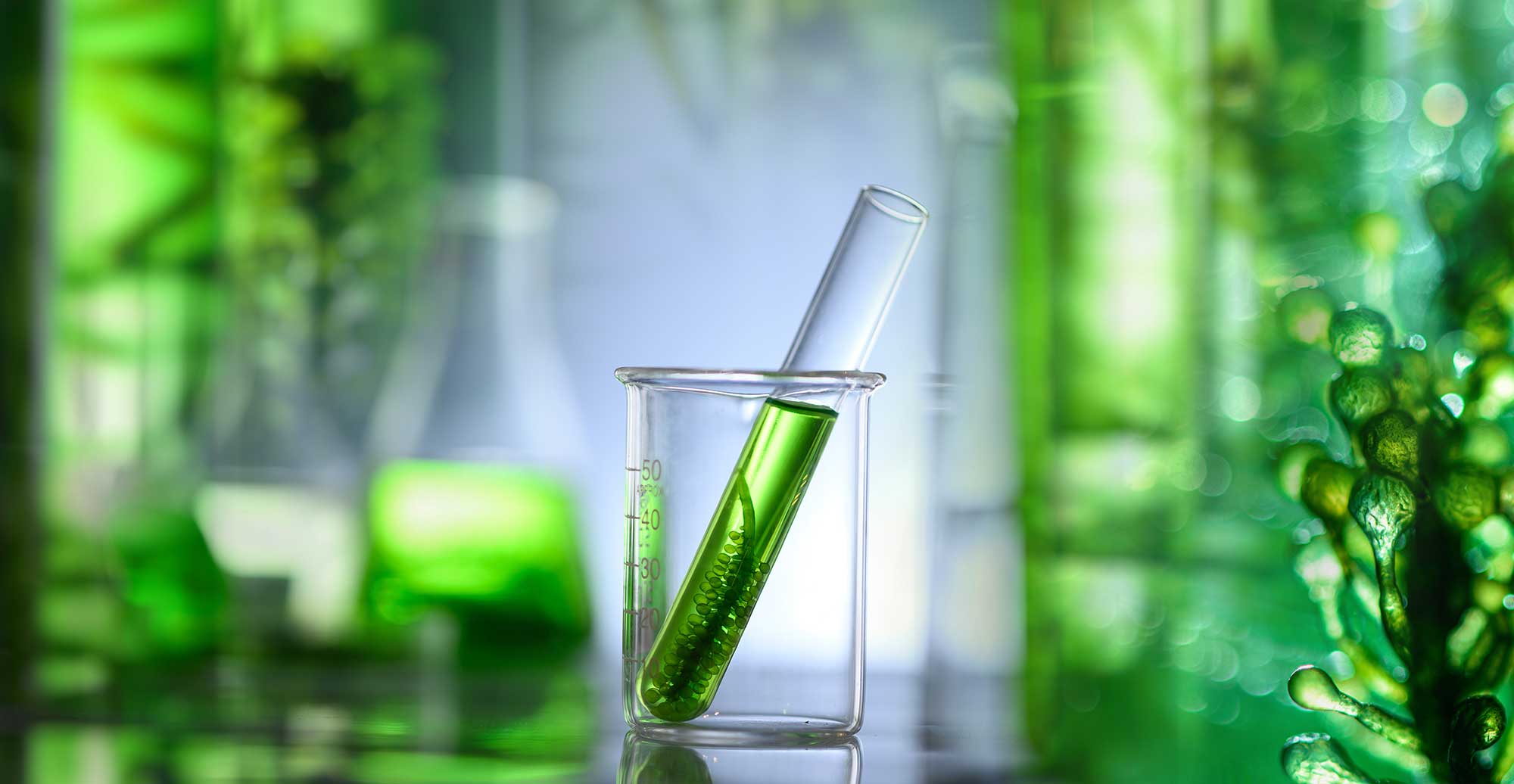 Green biofuel