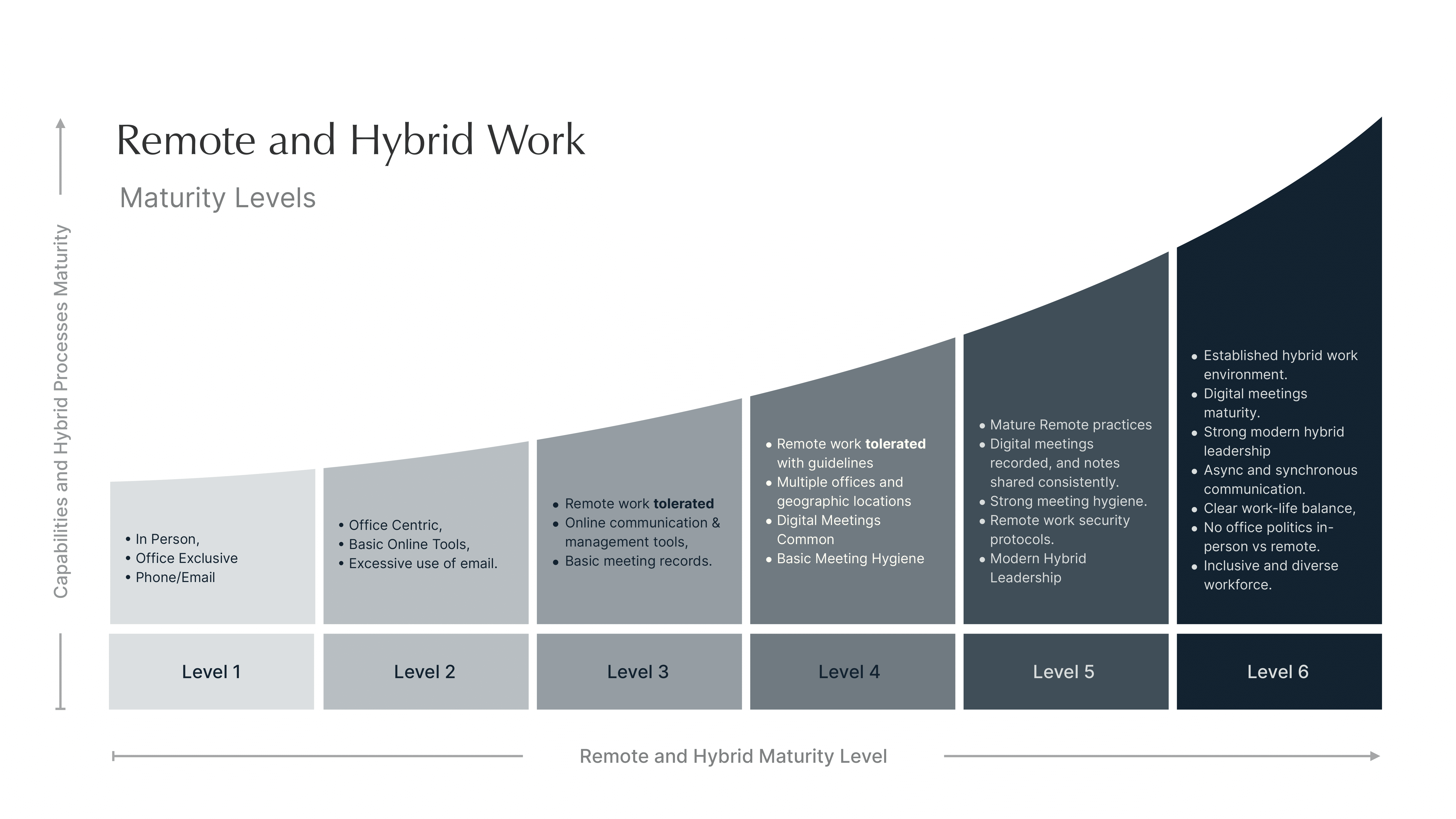 Remote and Hybrid Work Maturity Index Levels