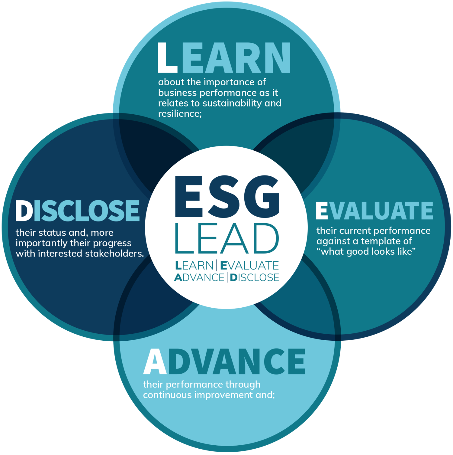 LEAD Process