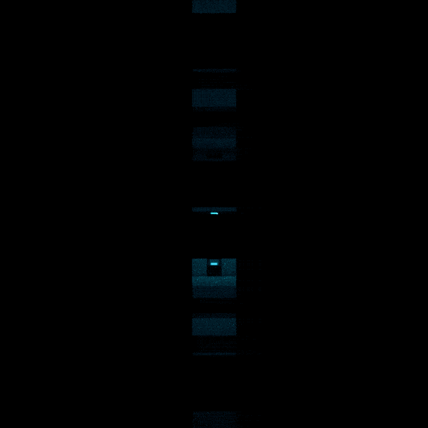 SOTM JULY 2021