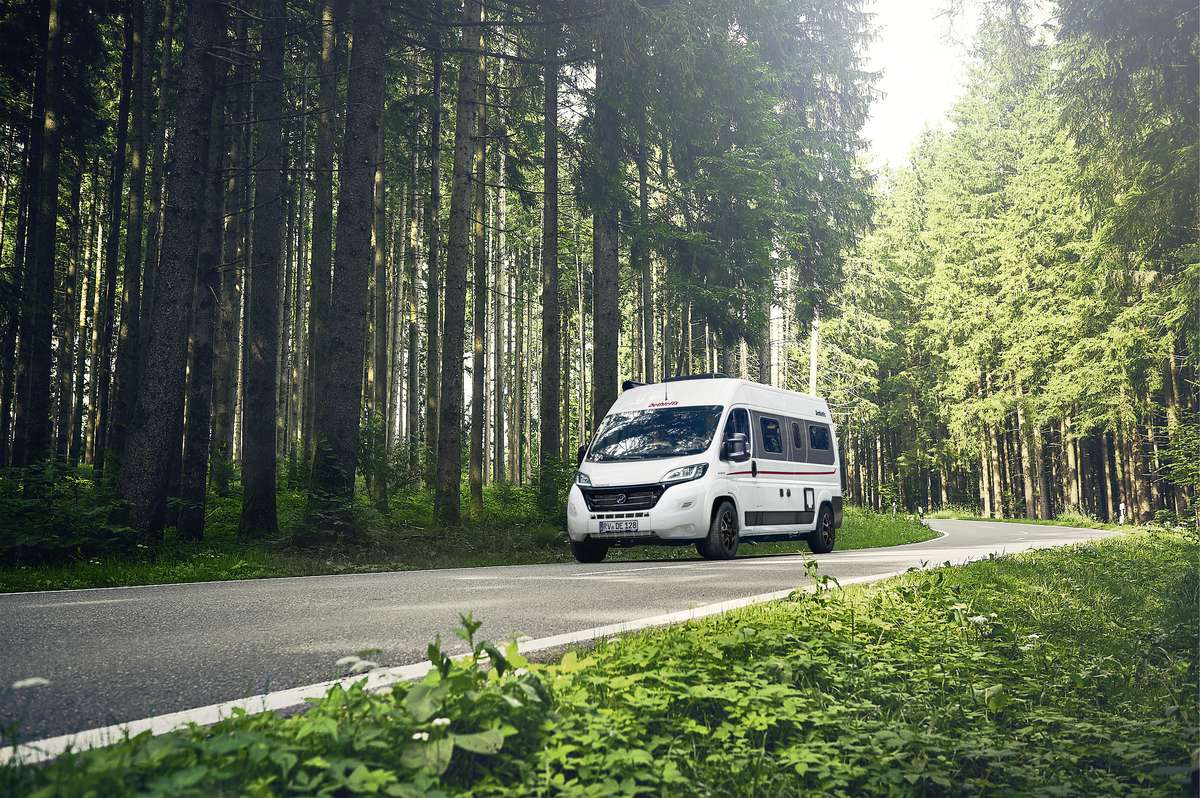Weißer Campingbus fährt durch Waldgebiet und Sonne scheint durch die Bäume