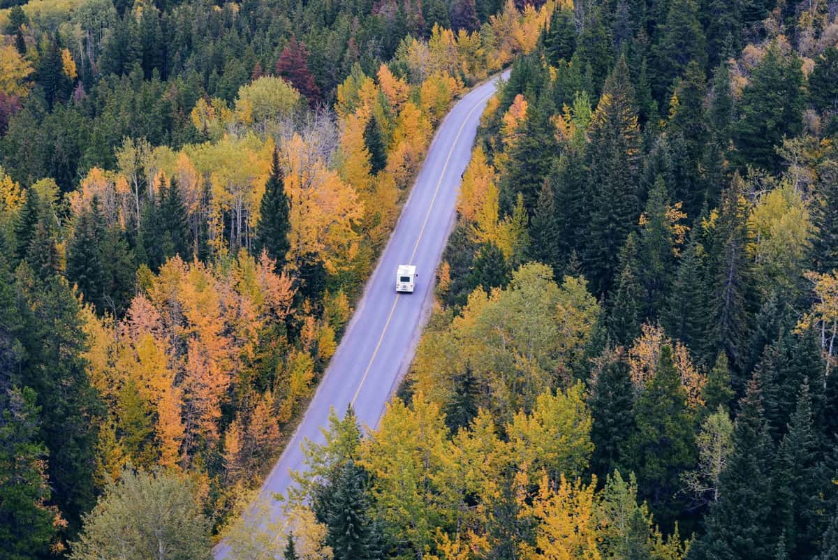 In Vogelperspektive fährt ein Wohnmobil durch einen dichten Wald