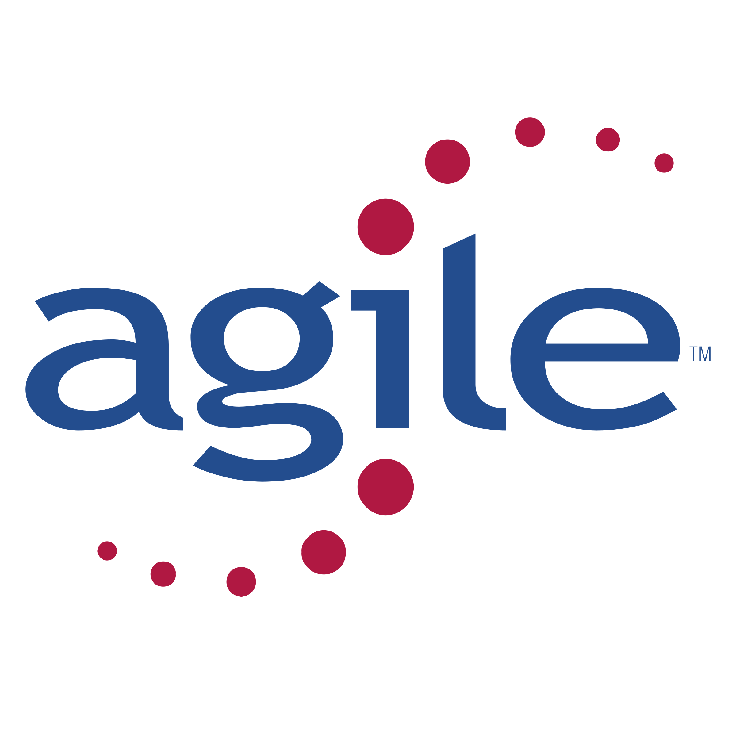 Agile logo