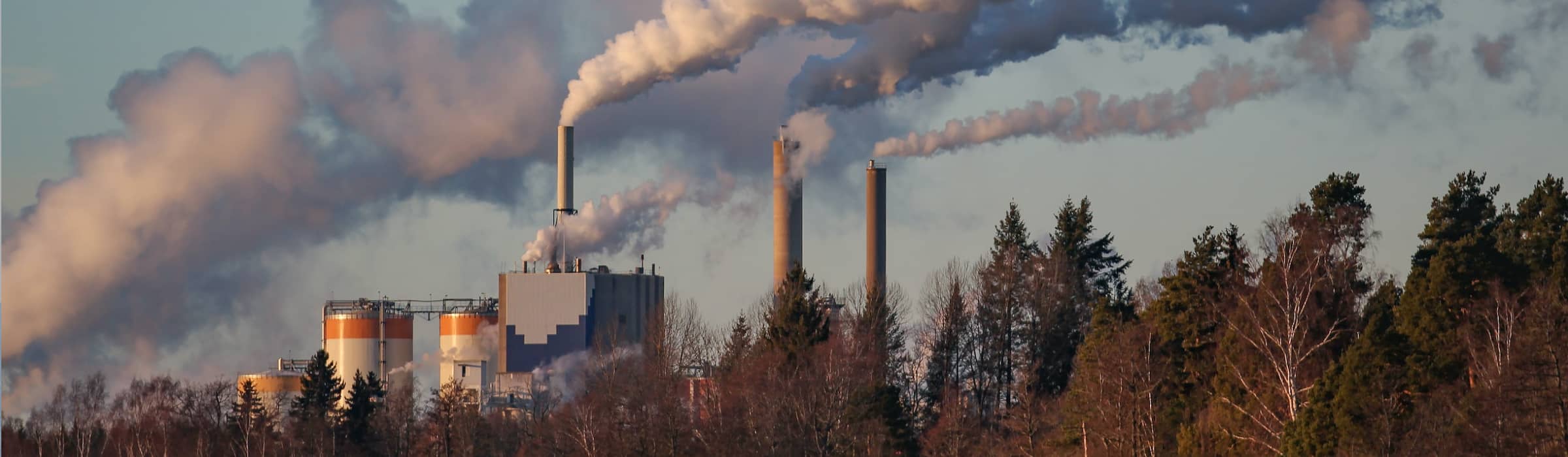 Does air pollution cause cancer? SKOOT